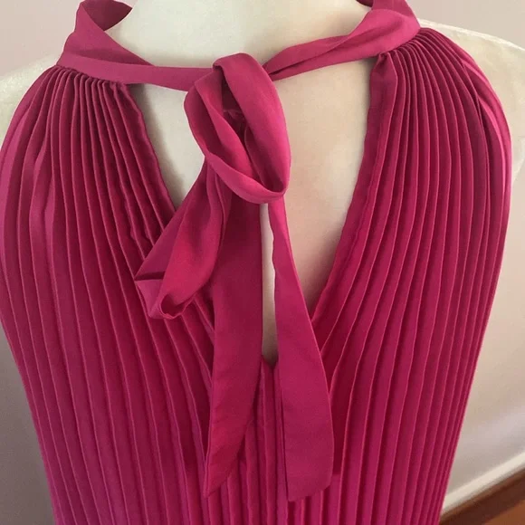 Banana Republic NWT raspberry pleated dress - Picture 7 of 11
